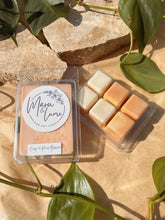 Load image into Gallery viewer, Clam Shell Wax Melts