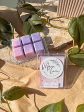 Load image into Gallery viewer, Clam Shell Wax Melts