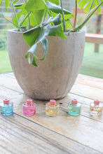 Load image into Gallery viewer, 120ml Reed Diffuser